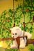 ckpreschool037