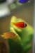 ckpreschool048