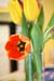 ckpreschool055