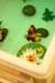 ckpreschool092